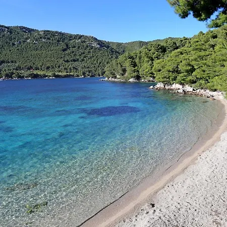 With A Parking Space Zuljana, Peljesac - 4573 公寓 Žuljana