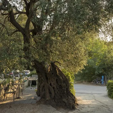 With Parking Space Zuljana, Peljesac - 4573 *